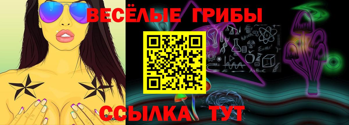 Псилоцибиновые грибы Psilocybine cubensis Азов